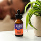 Sleep Tincture