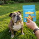 Hip + Joint Pet Treats